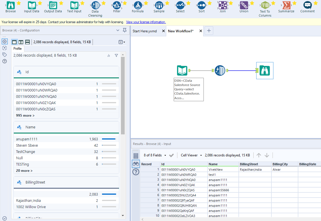 Browse the results of the Workflow (Salesforce is shown.)